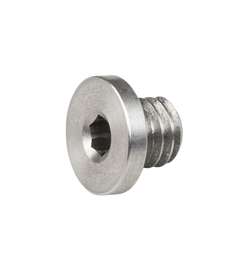 Trek Derailleur Hanger Button Head Bolt 6x4mm